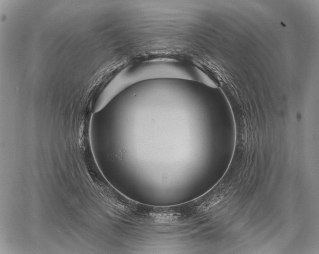 X0000061730693200512091545