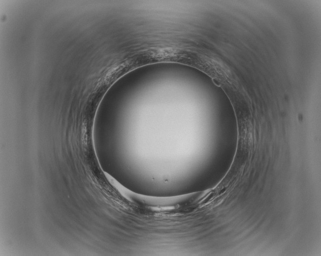 X0000061730700200512091545