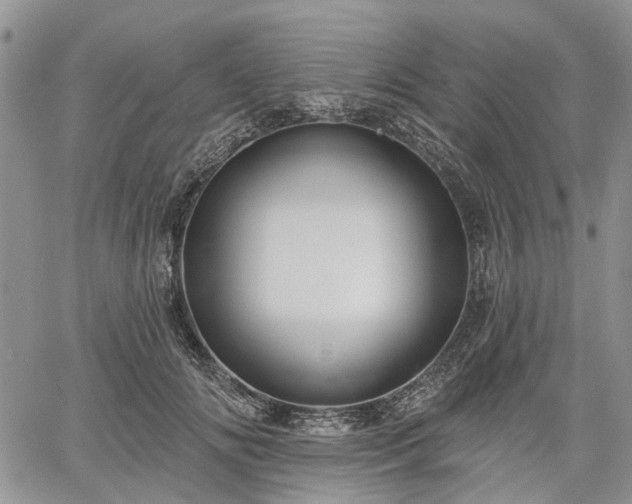 X0000061730702200512091545