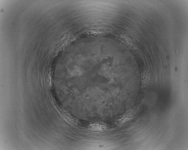 X0000061730703200512091545