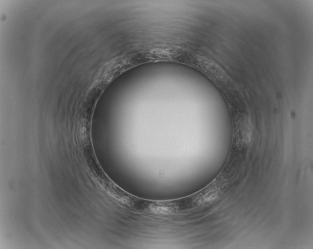 X0000061730706200512091545