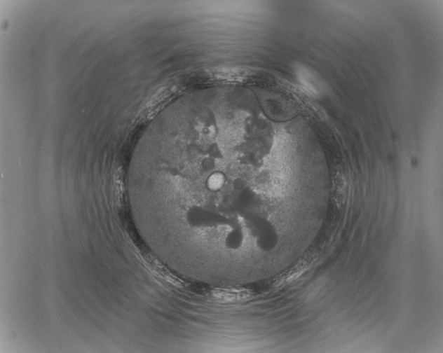 X0000061730707200512091545