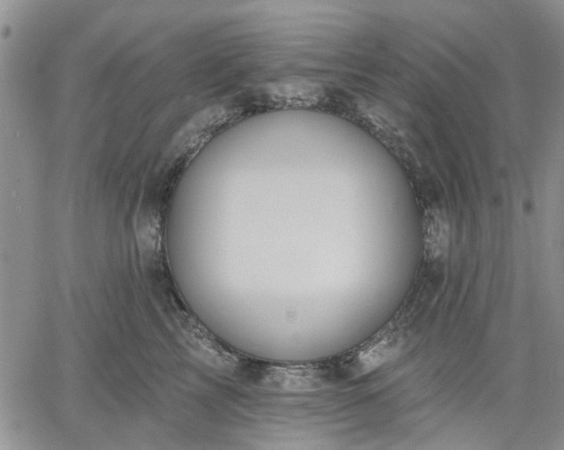 X0000061730713200512091545