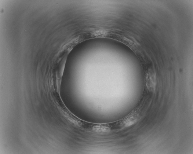 X0000061730714200512091545