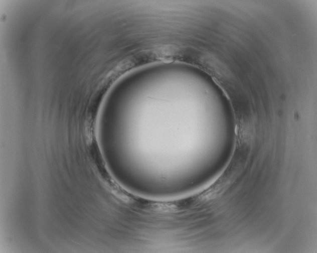 X0000061730719200512091545