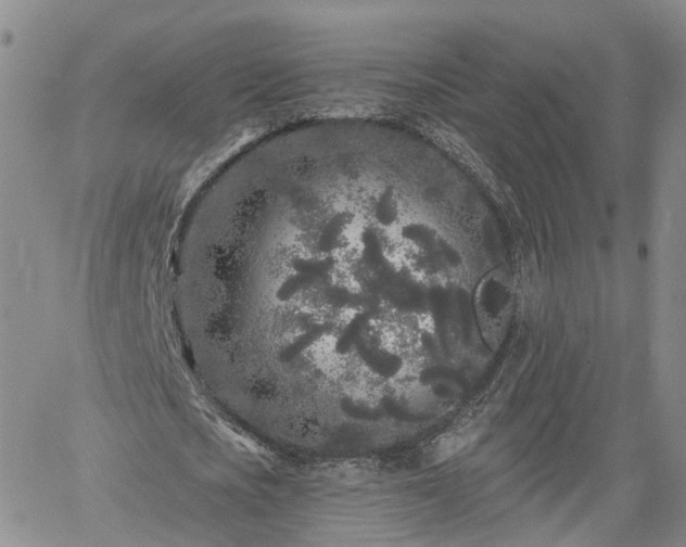 X0000061730721200512091544