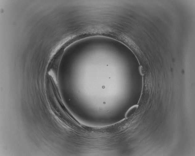 X0000061730722200512091544