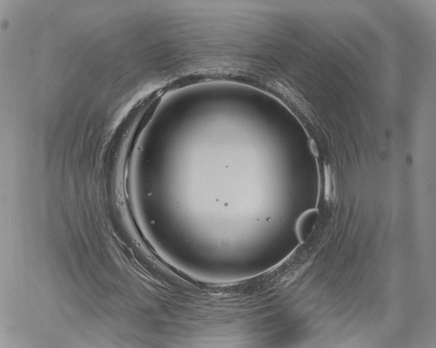 X0000061730723200512091544