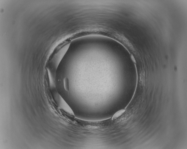 X0000061730724200512091544