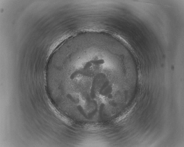 X0000061730725200512091544