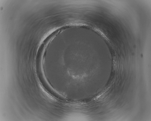 X0000061730726200512091544