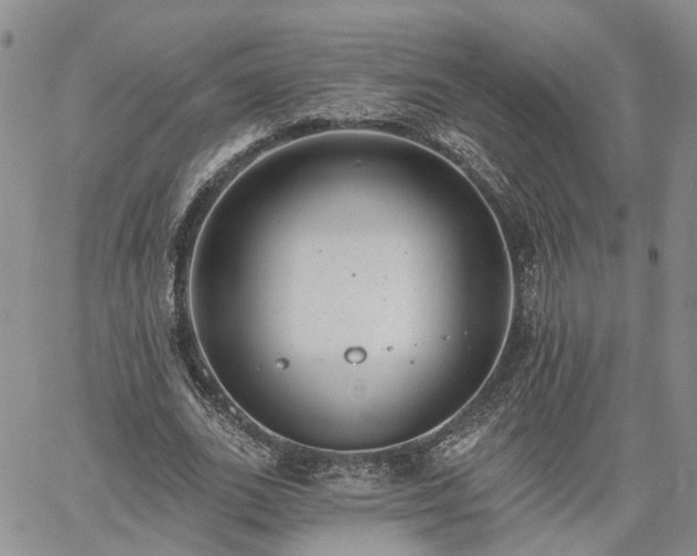 X0000061730727200512091544