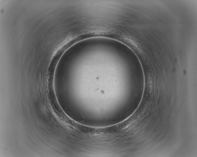 X0000061730730200512091544