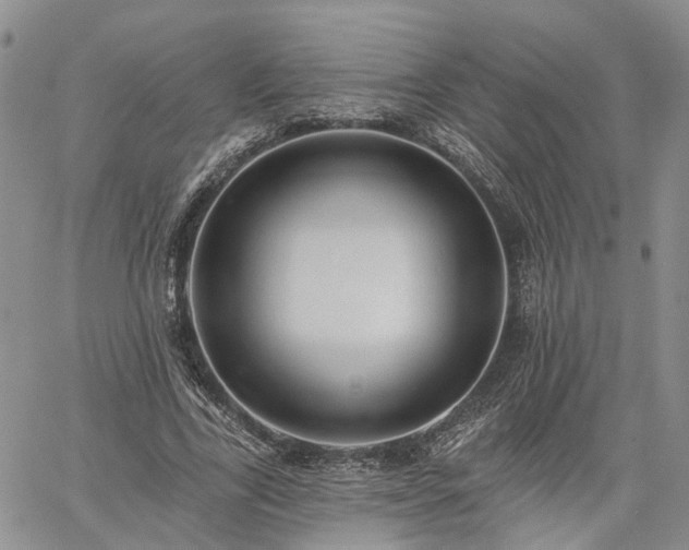 X0000061730731200512091544