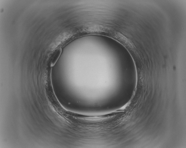 X0000061730732200512091544