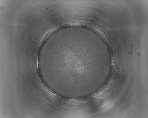 X0000061730733200512091544