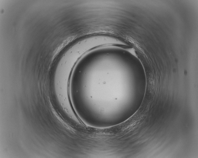 X0000061730734200512091544