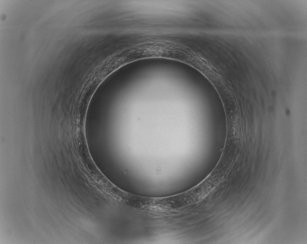 X0000061730737200512091544