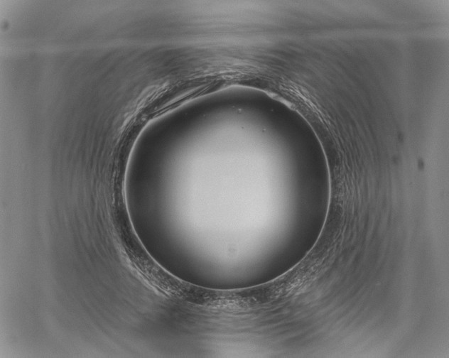 X0000061730738200512091544