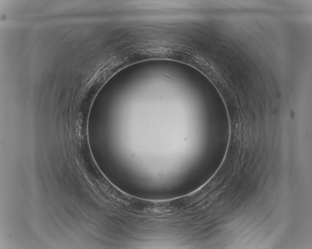 X0000061730739200512091544