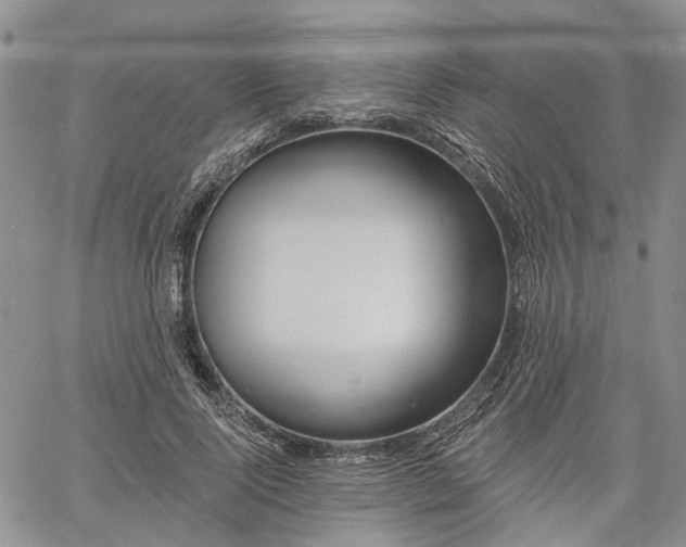 X0000061730740200512091544