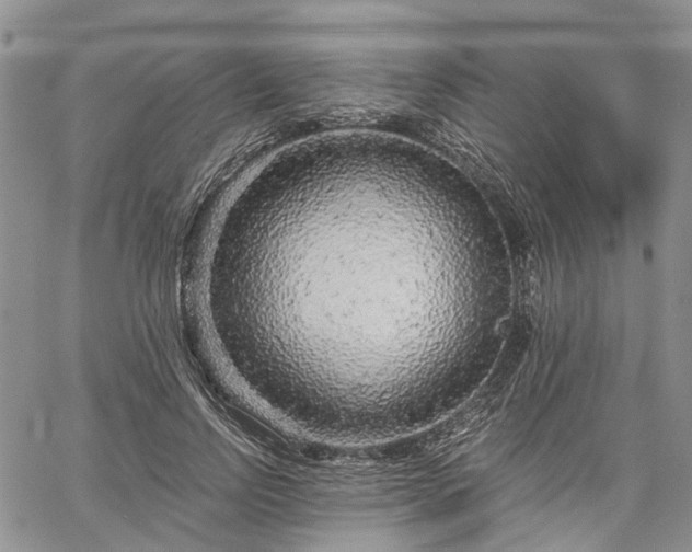 X0000061730742200512091544