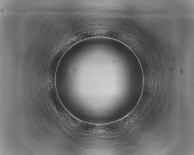 X0000061730743200512091544