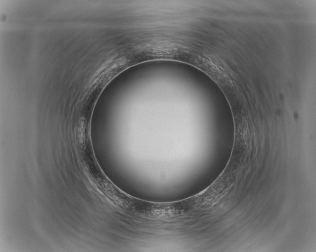 X0000061730744200512091544