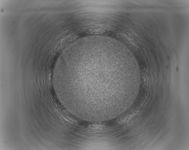 X0000061730745200512091544