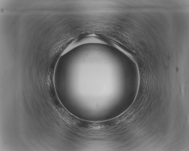 X0000061730746200512091544