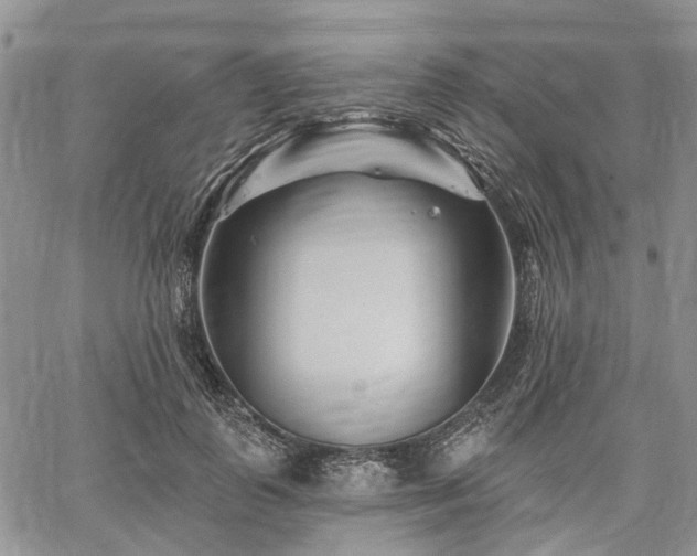 X0000061730747200512091544