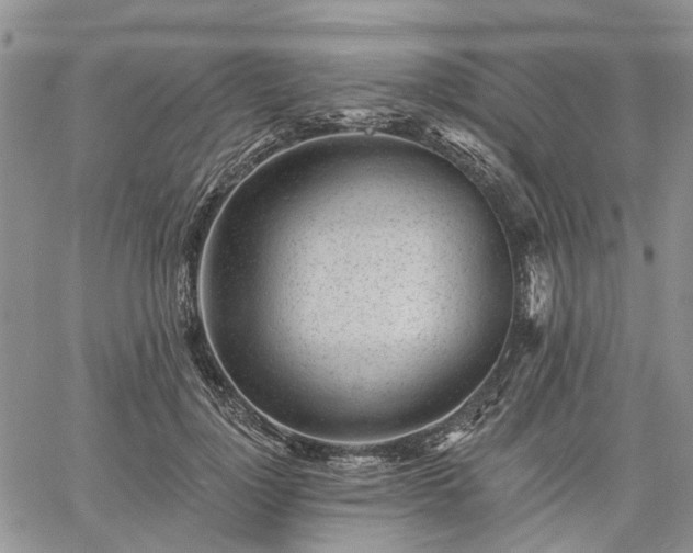 X0000061730748200512091544