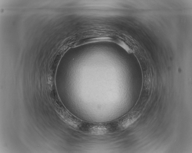 X0000061730749200512091544