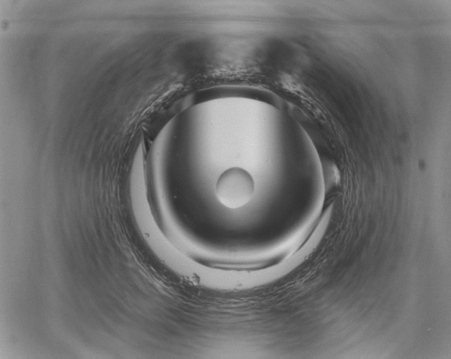 X0000061730750200512091544