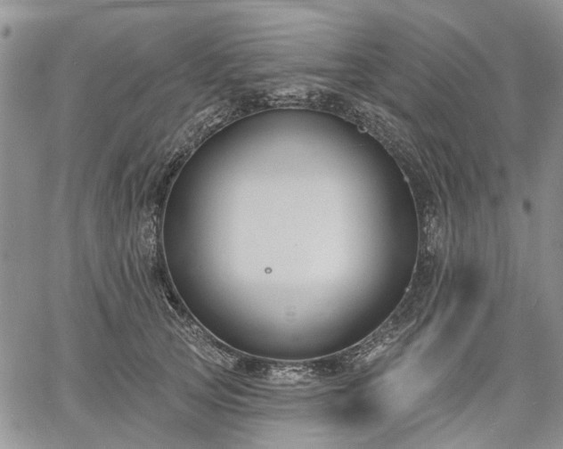 X0000061730753200512091545