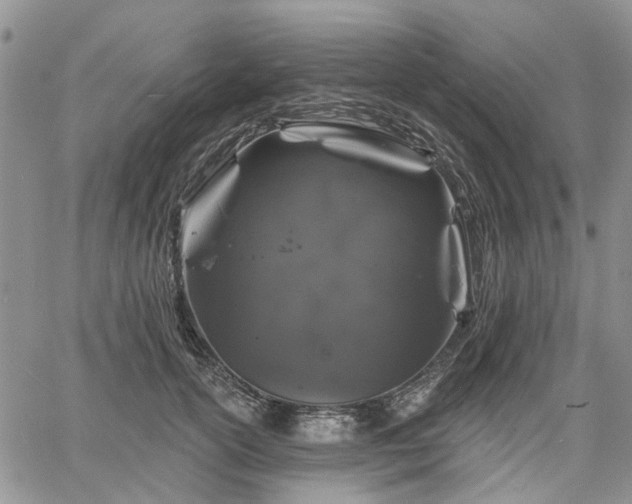 X0000061730754200512091545