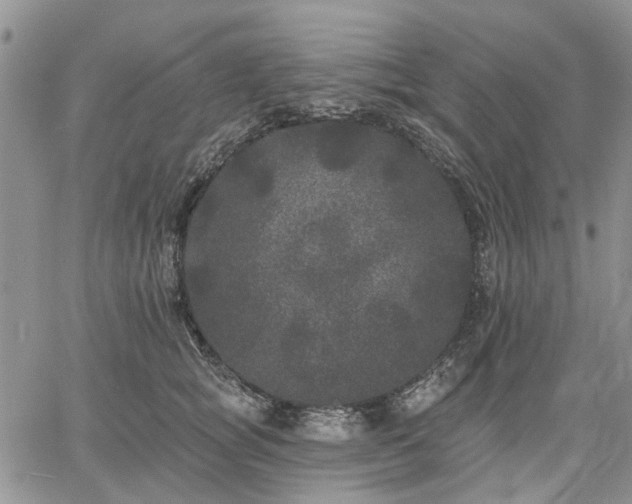 X0000061730757200512091545