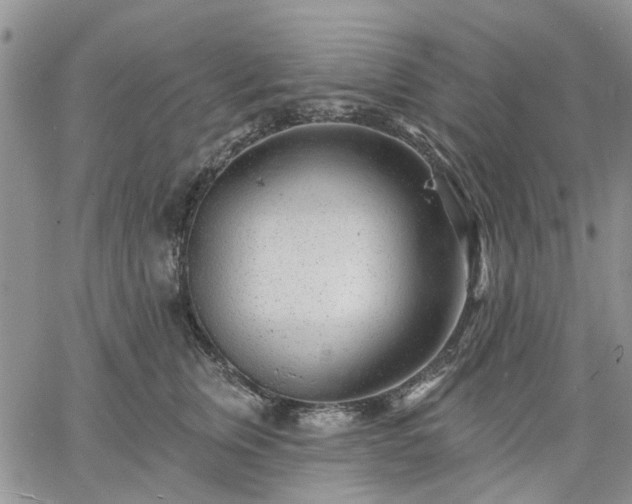 X0000061730759200512091545