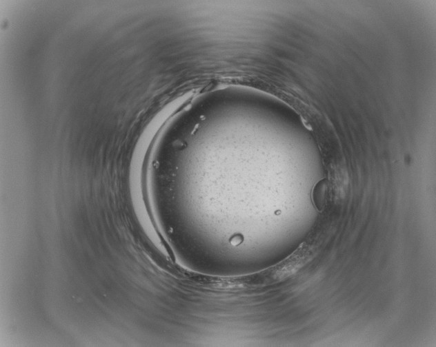 X0000061730760200512091545