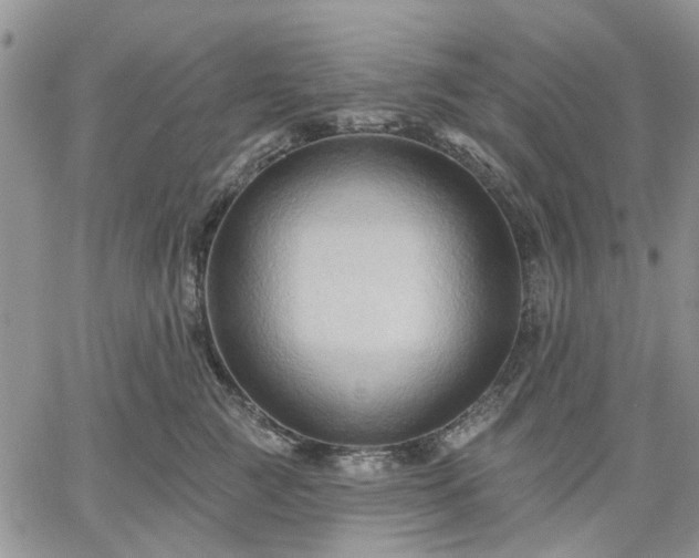 X0000061730761200512091545