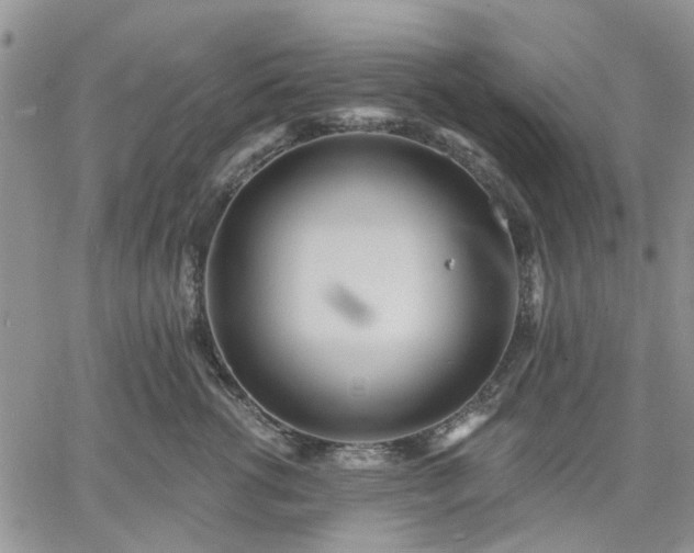 X0000061730762200512091545