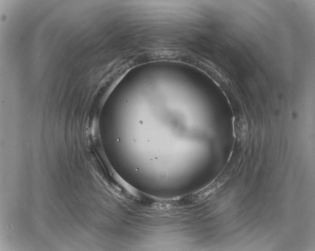 X0000061730764200512091545