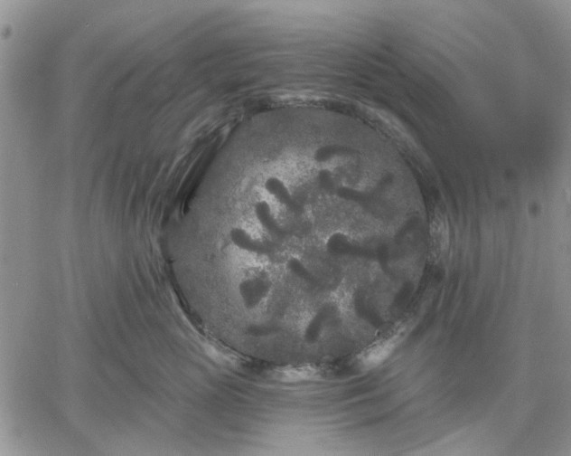 X0000061730765200512091545