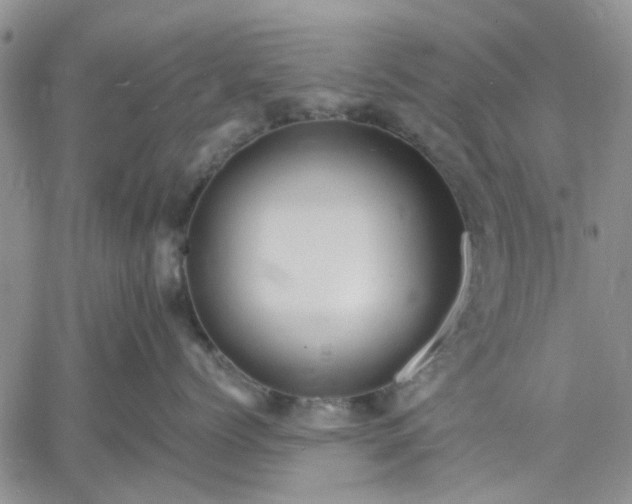 X0000061730768200512091545