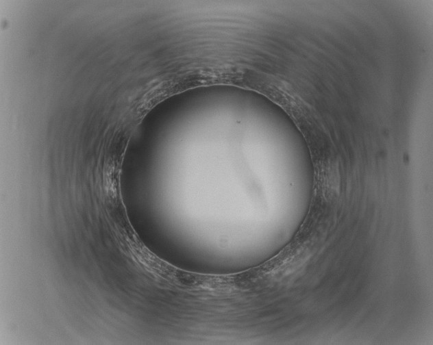 X0000061730770200512091544