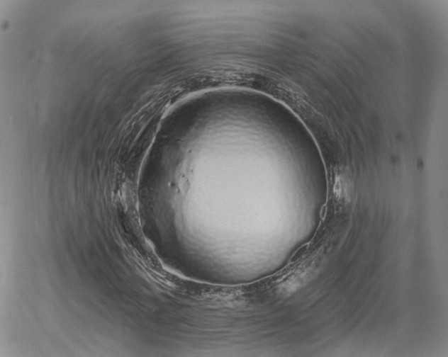 X0000061730771200512091544