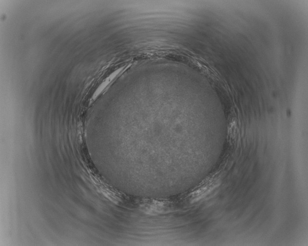 X0000061730772200512091544