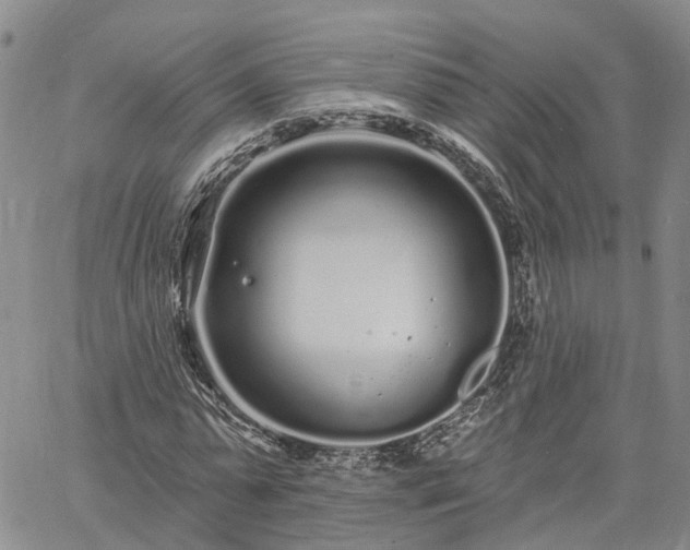 X0000061730775200512091544