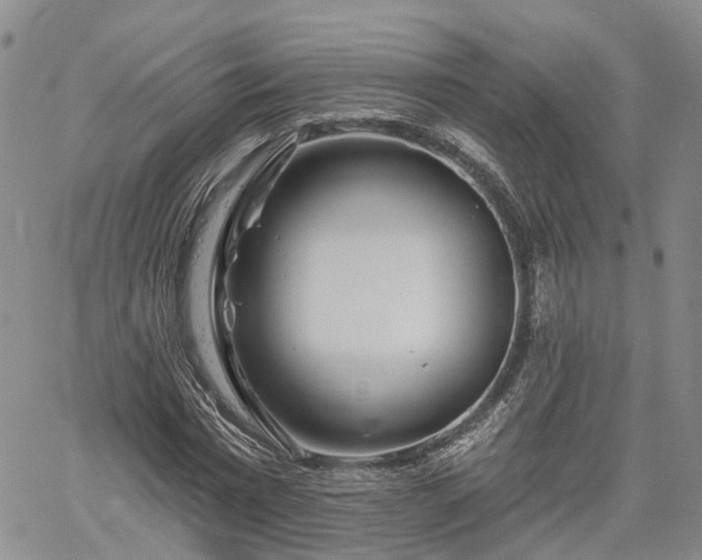 X0000061730777200512091544