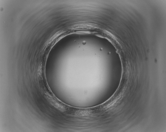 X0000061730778200512091544